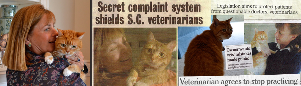 Marcia Rosenberg’s Animal Advocacy